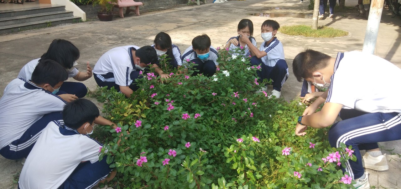 Trường THCS Phú Mỹ tổ chức tổng vệ sinh trường lớp