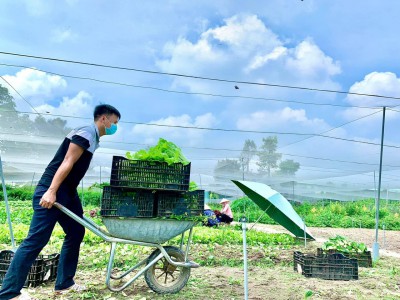 Tập thể sư phạm trường THCS Phú Mỹ với phong trào phòng, chống Covid - 19