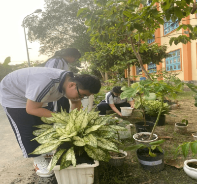 Tuyên dương, khen thưởng học sinh, giáo viên đạt thành tích cao tại  Hội khỏe Phù Đổng cấp thành phố, năm học 2024-2025