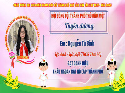 Nguyễn Tú Bình - Liên đội trưởng Liên đội Trường THCS Phú Mỹ: Gương Cháu ngoan Bác Hồ tiêu biểu trong học tập và phong trào Đội