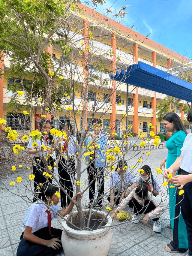 Liên Đội trường THCS Phú Mỹ với phong trào trang trí mai đào: Mừng Đảng mừng xuân Ất Tỵ  2025